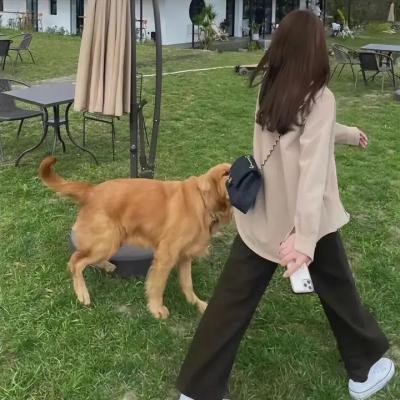 拂晓之街